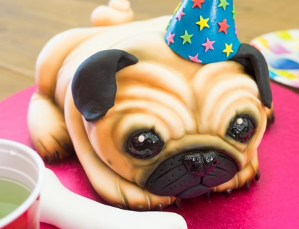 Pug Dog Cake